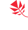 Made in Raleigh