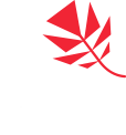 Made in Raleigh